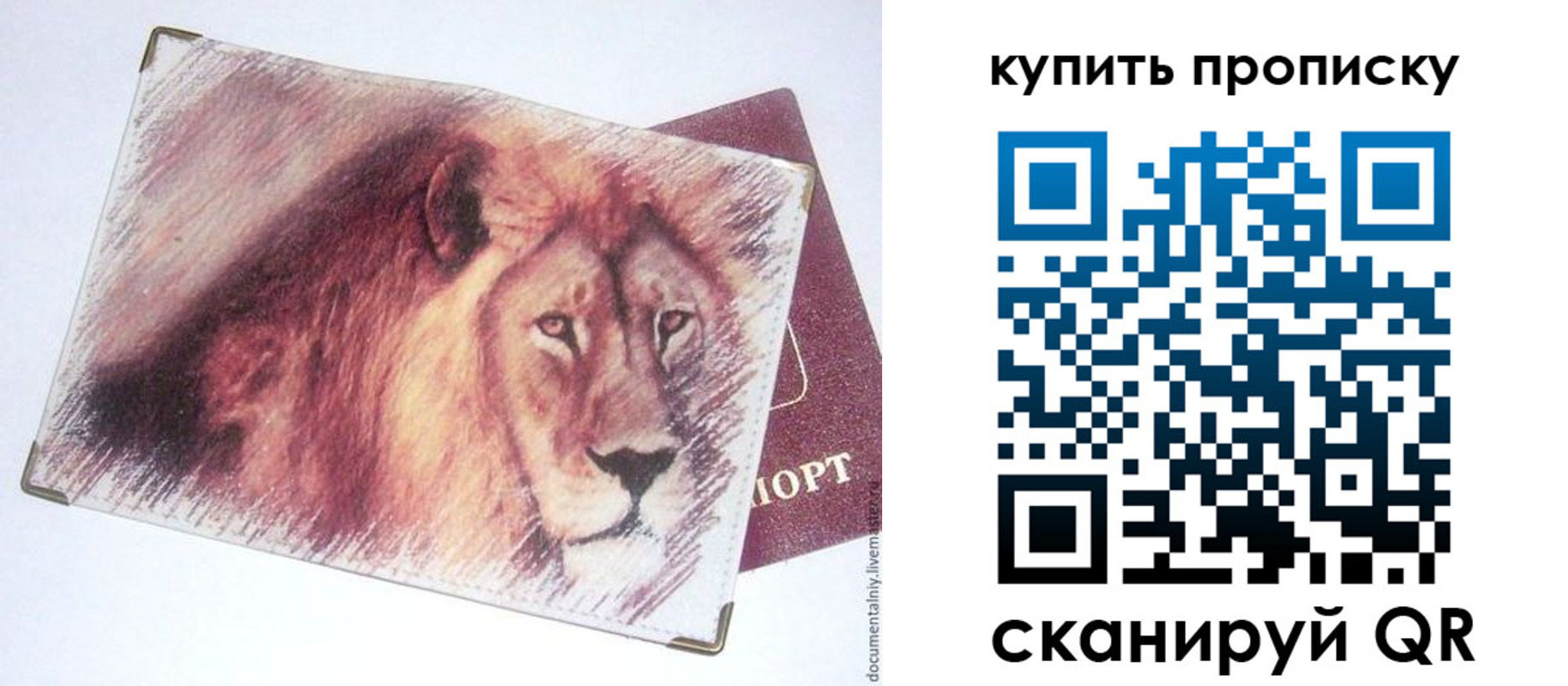 прописка паспорт в Красном Сулине